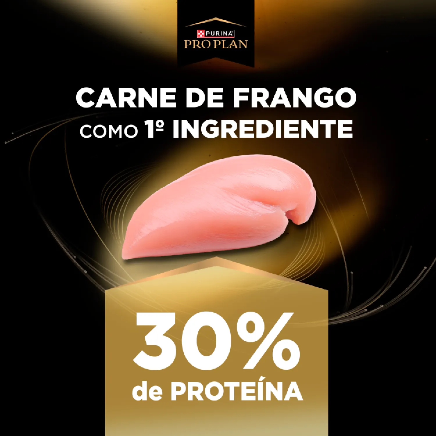 Racao Pro Plan Paladar Exig Caes Adultos Mini e Peq ingrediente-02